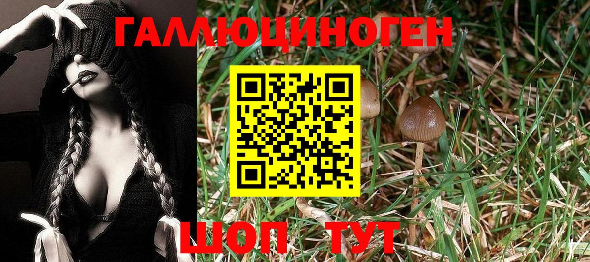 Чистополь  Псилоцибиновые грибы Cubensis  Вход с VPN  Галлюциногенные грибы Magic Shrooms 