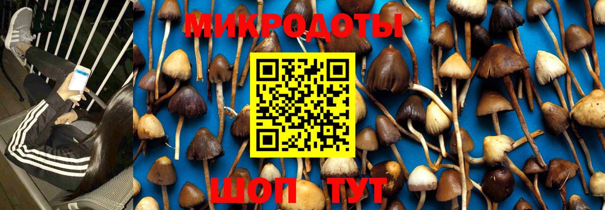 Галлюциногенные грибы Magic Shrooms Чистополь